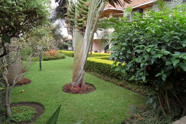 2-Bedroom Apartment for Rent – AGM Estate, Arusha
