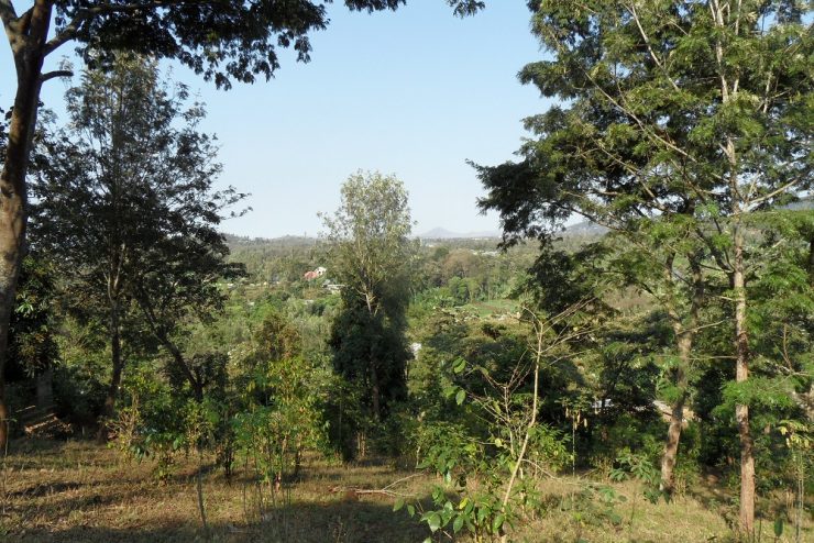 Prime Plot for Sale – Baraa Area, Near Onsea House, Arusha