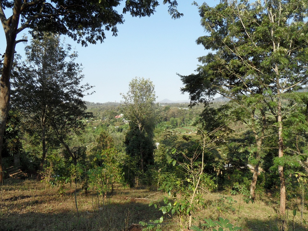 Prime Plot for Sale – Baraa Area, Near Onsea House, Arusha