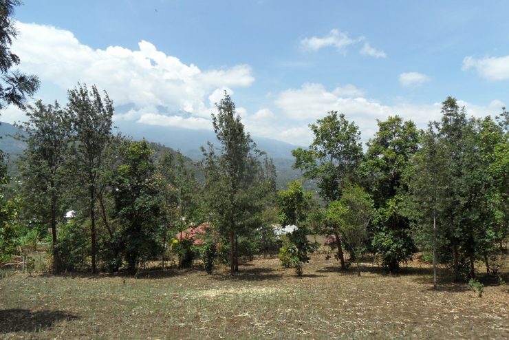 Land for Sale in Moshono  – Arusha