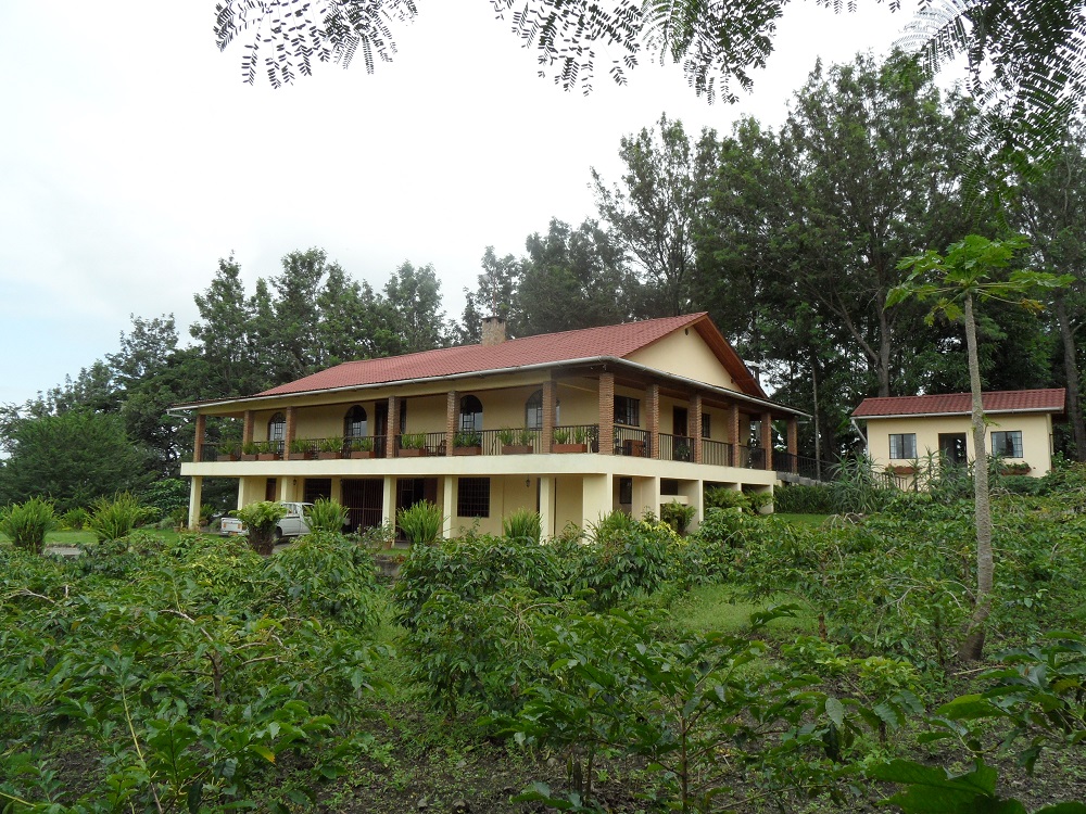 For Rent / Sale For Rent / Sale