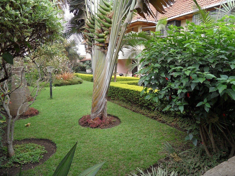 3-Bedroom Apartment for Rent – AGM Estate, Arusha