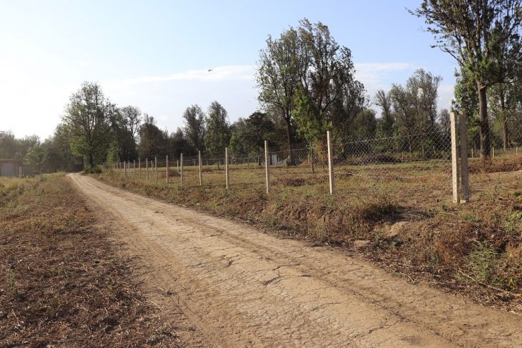 1 Acre Plot for Sale at Burka Behind Coffee Lodge