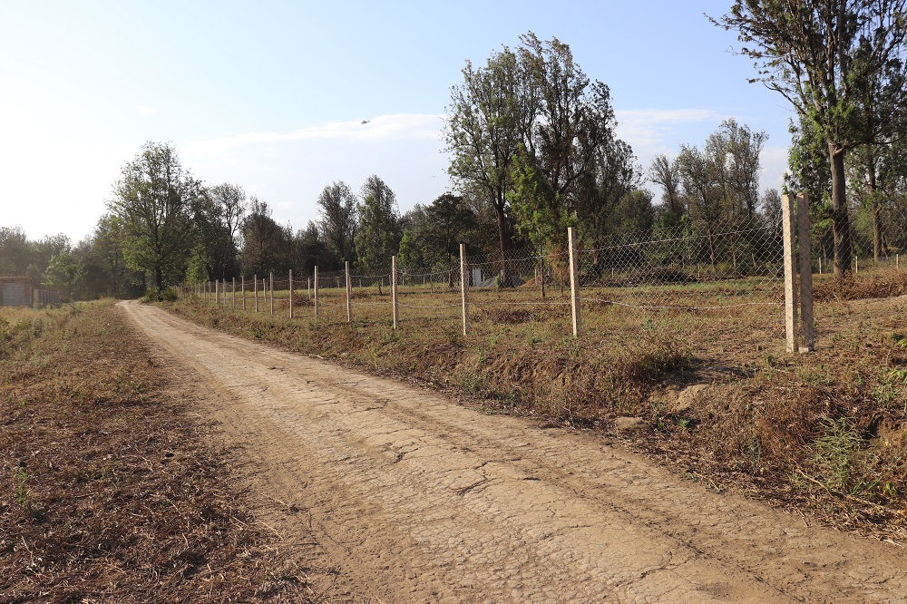 1 Acre Plot for Sale at Burka Behind Coffee Lodge