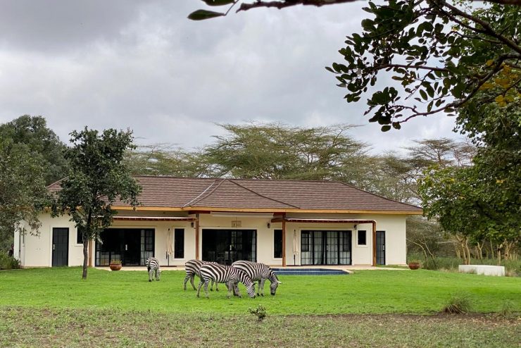 2-Bedroom Houses for Rent at Dolly Estate