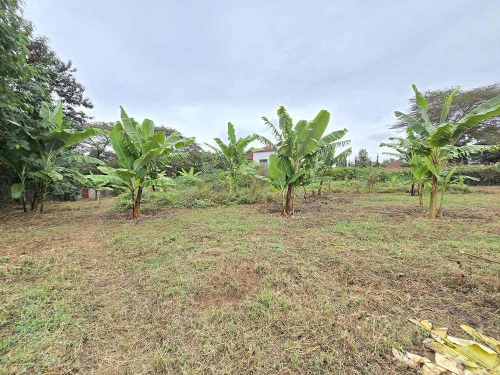 1-Acre Plot for Sale – Njiro Block J, Arusha