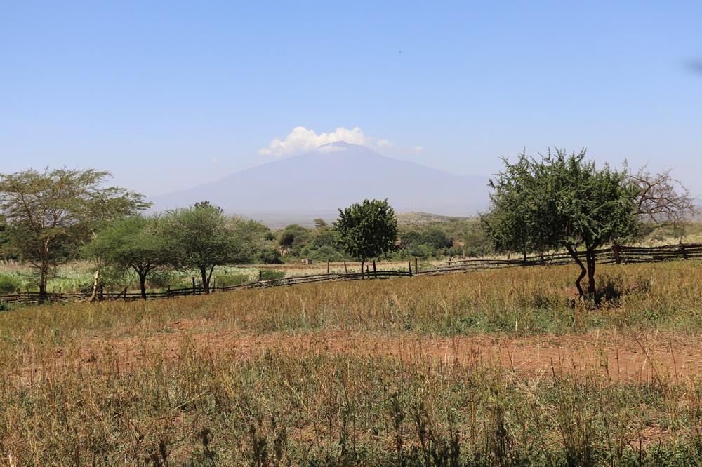 750-Acre Farm in Kilimanjaro with Functional Infrastructure and Historic Charm