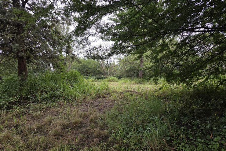 Premier Residential Estate for Sale – Usa River, Northern Tanzania