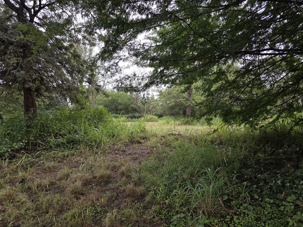 Premier Residential Estate for Sale – Usa River, Northern Tanzania